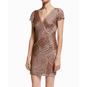 Aidan Mattox Dark Rose Short Sleeve Glitzy Beaded V-Neck Shift Dress Sz 12